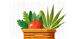 Logo Bio Food Market